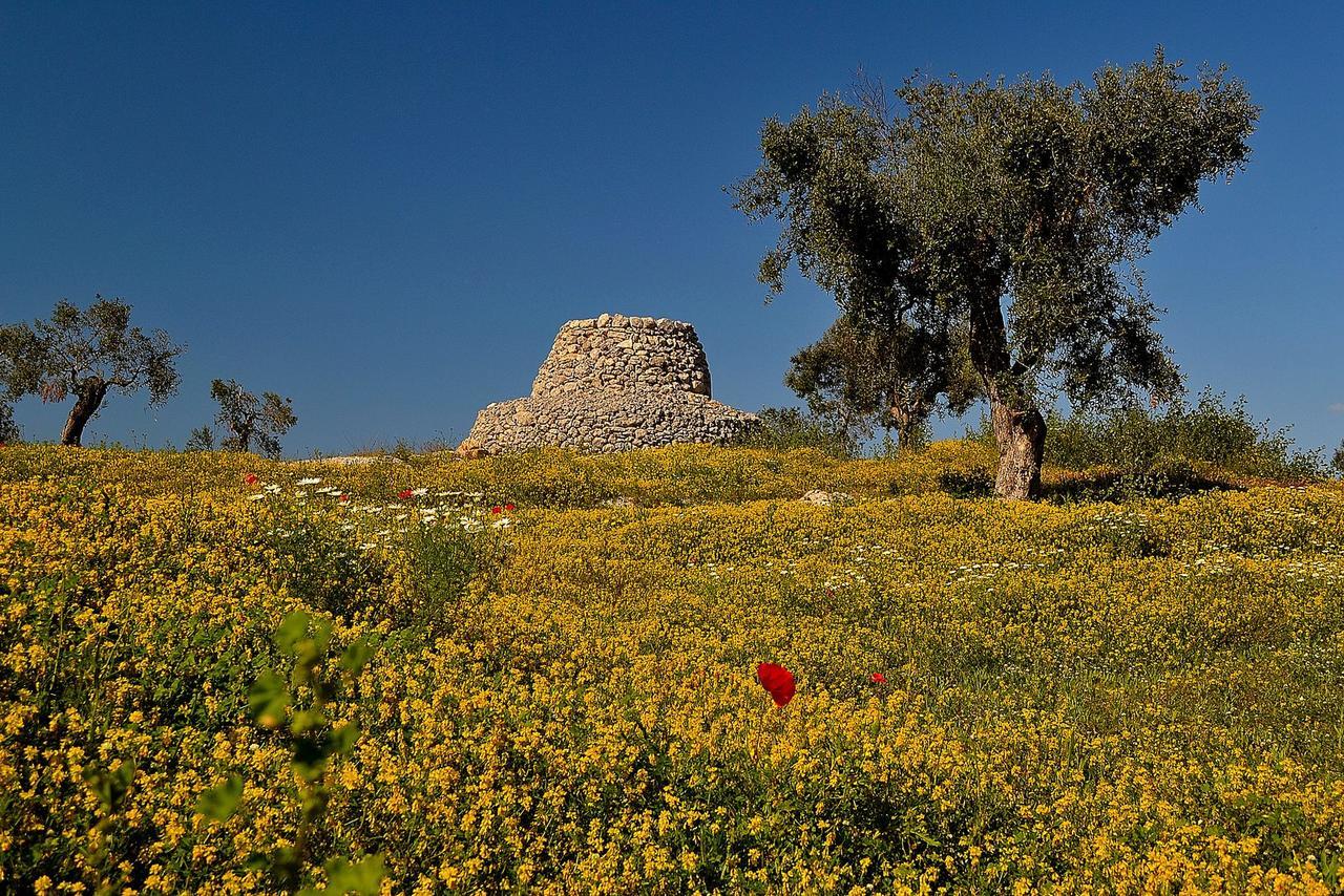 Meraviglie Del Salento Порто-Чезарео Екстер'єр фото